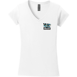 Boca Barracudas Softstyle Ladies Fit V-Neck T-Shirt