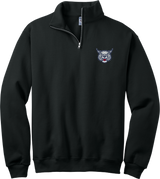 CT Bobcats NuBlend 1/4-Zip Cadet Collar Sweatshirt