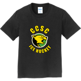 Chester County Youth Fan Favorite Tee
