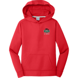 Wash U Youth Performance Fleece Pullover Hooded Sweatshirt