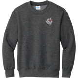 CT Whalers Tier 2 Youth Core Fleece Crewneck Sweatshirt