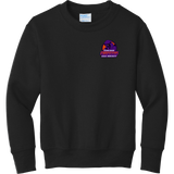 Chicago Phantoms Youth Core Fleece Crewneck Sweatshirt